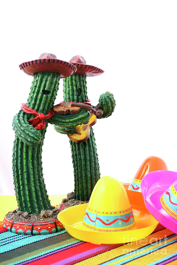 Hat Photograph - Cinco de Mayo Mariachi Band cactus with sombero hats  by Milleflore Images