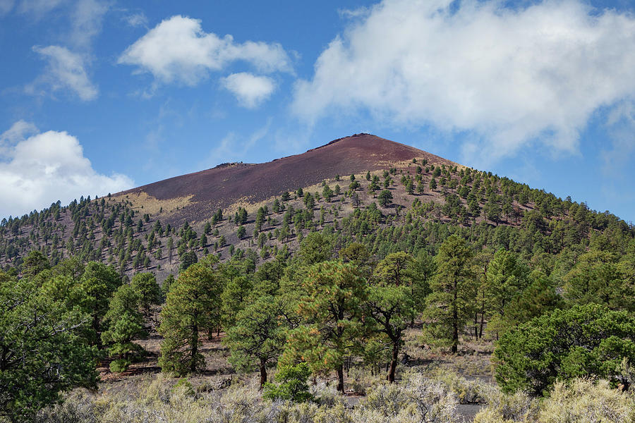 Cinder Cone Photograph by James Marvin Phelps