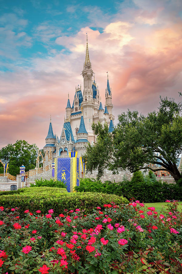Orlando Photograph - Cinderella Castle at Dawn by Adam Romanowicz