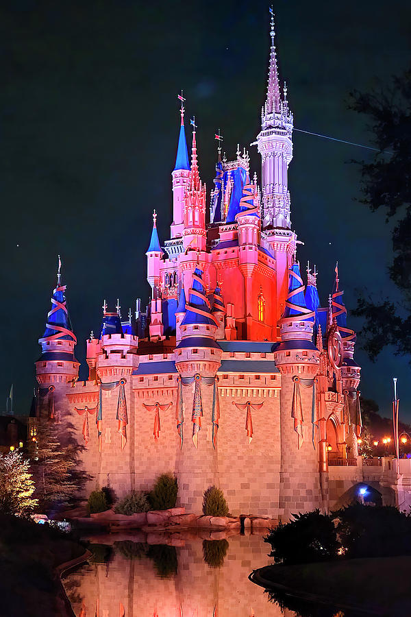 Cinderella Castle at Night  Photograph by Mark Andrew Thomas