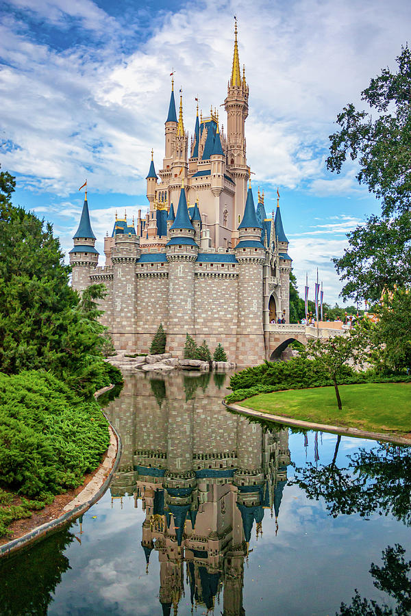 https://images.fineartamerica.com/images/artworkimages/mediumlarge/3/cinderella-castle-reflection-mark-chandler.jpg