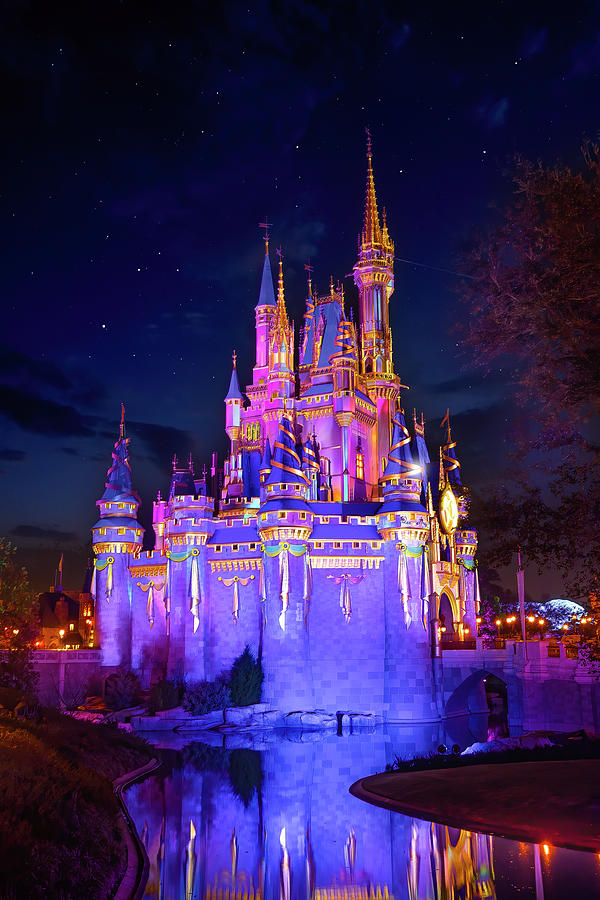 Cinderella Castle Under the Stars Photograph by Mark Andrew Thomas