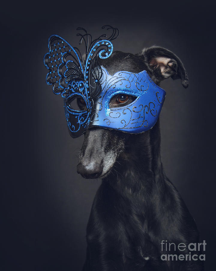 Cinema in Blue Mask Photograph by Travis Patenaude