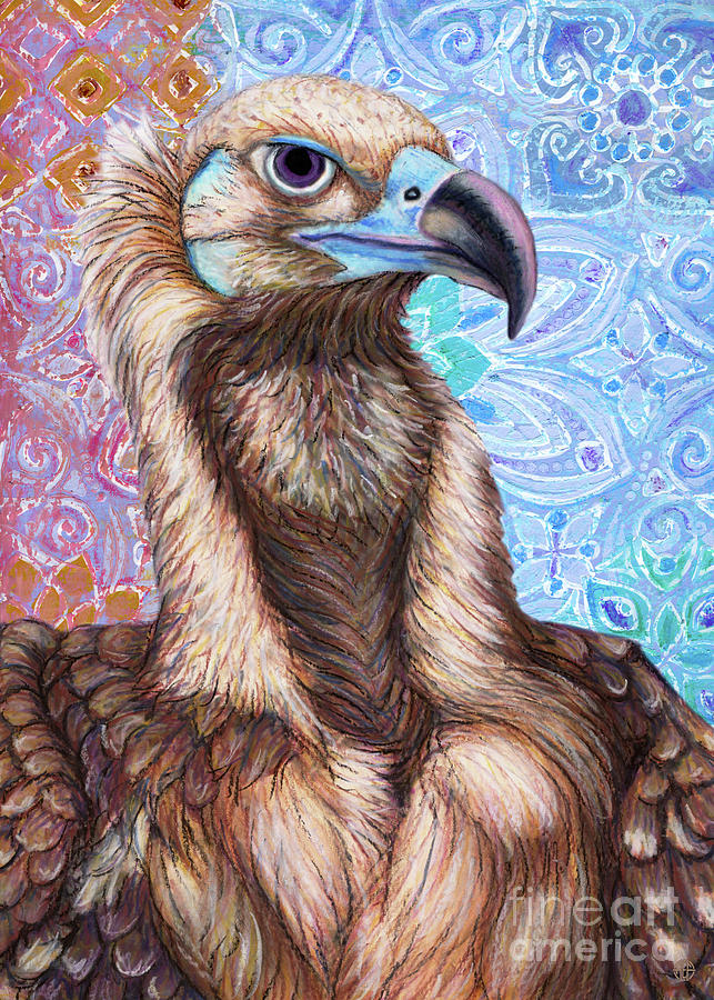 Cinereous Vulture Abstract Painting by Amy E Fraser