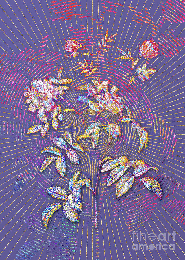 Cinnamon Rose Mosaic Botanical Art on Veri Peri n.0418 Mixed Media by Holy Rock Design