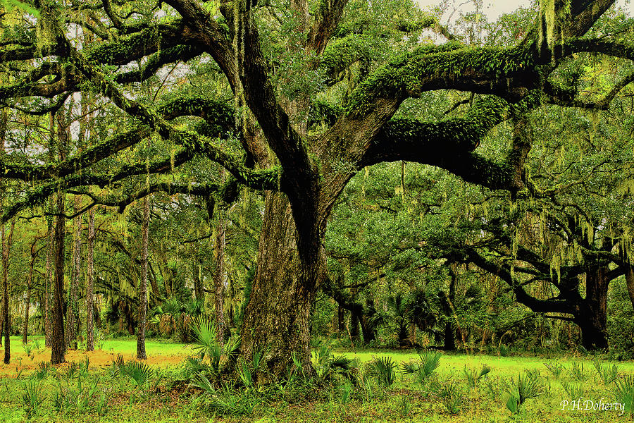 Circa 1775 Photograph by Phill Doherty - Fine Art America