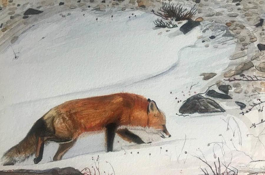Fox Painting - Circle in the Snow by Susie Gordon