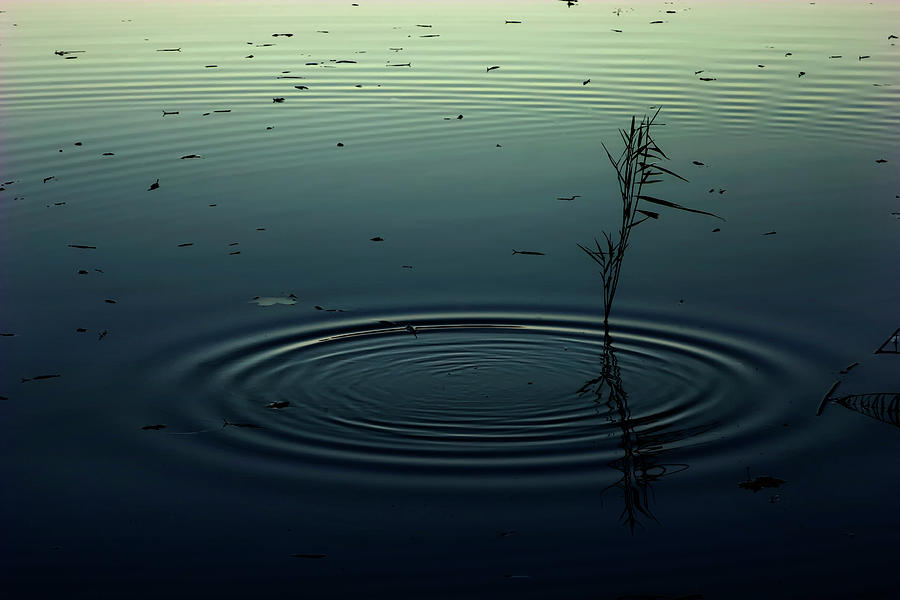 Circles on the morning water Digital Art by Edward Galagan
