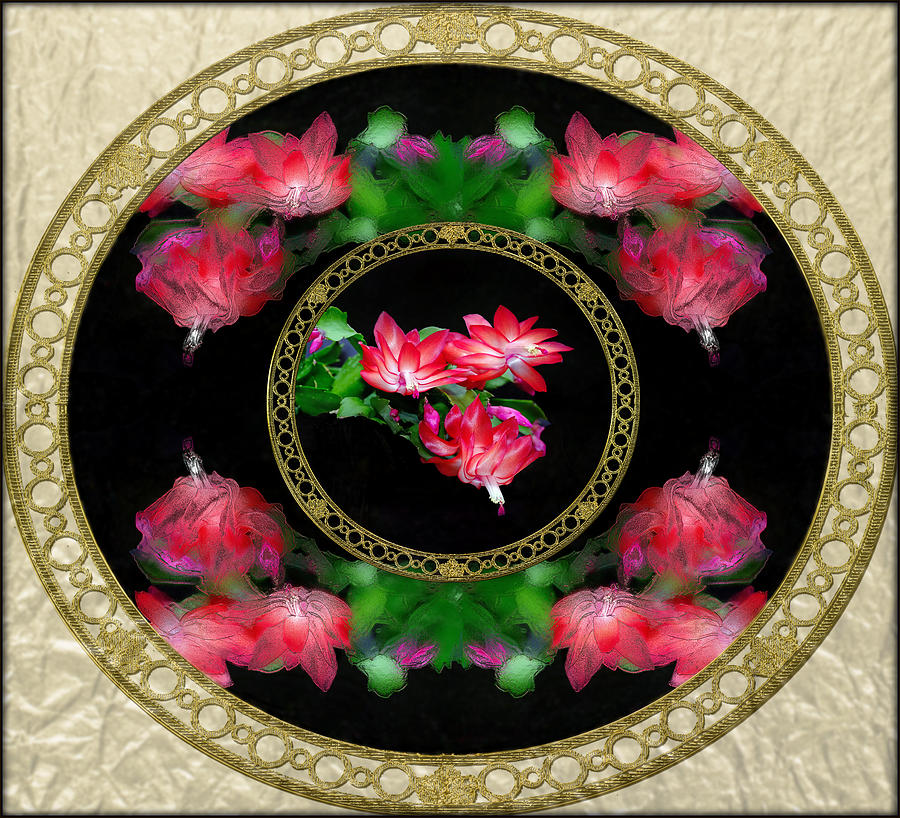 Flower Digital Art - Circular Flowers Squared  by Constance Lowery