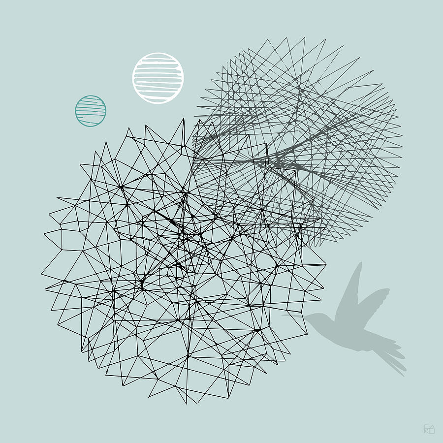 Network Digital Art - Circular Networks With Hummingbird by Carolina Reis