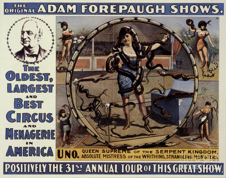 Circus Poster, 1894 Drawing by Granger