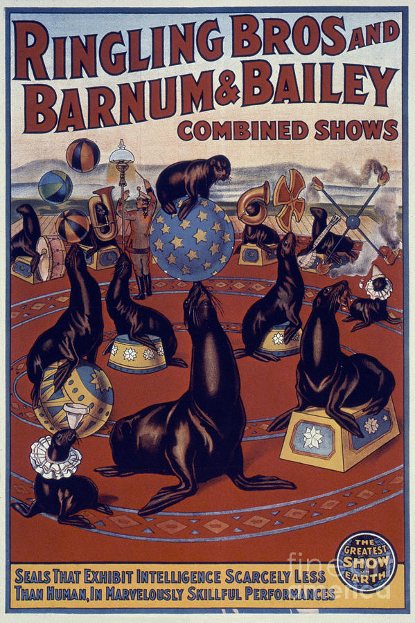CIRCUS POSTER, 1930s Drawing by Granger
