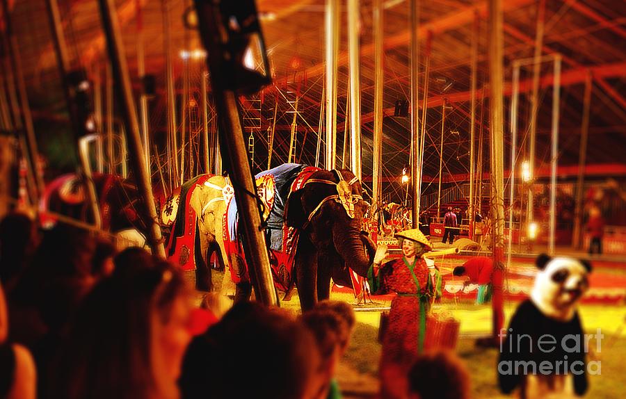 Circus Tent Dreams 4 Photograph