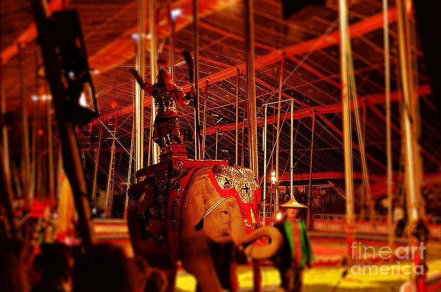 Circus Tent Dreams Photograph