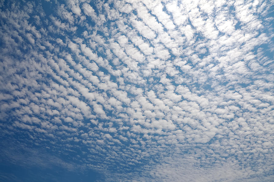 Cirrocumulus Cloud Photograph by Sanchairat