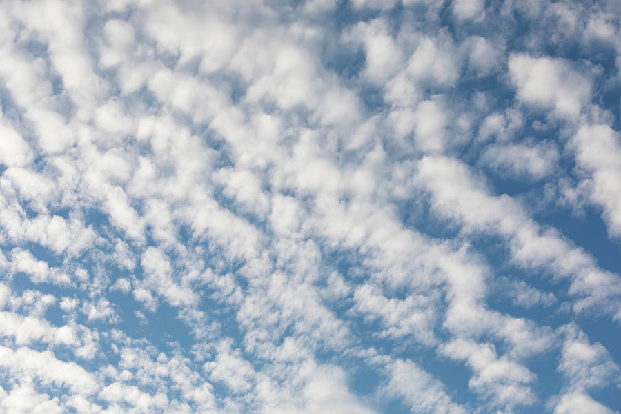 Cirrocumulus clouds against blue sky cloudscape Photograph by Juhani ...