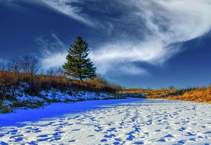 Winter Photograph - Cirrus Cloud on a Winter Afternoon  by Phil And Karen Rispin