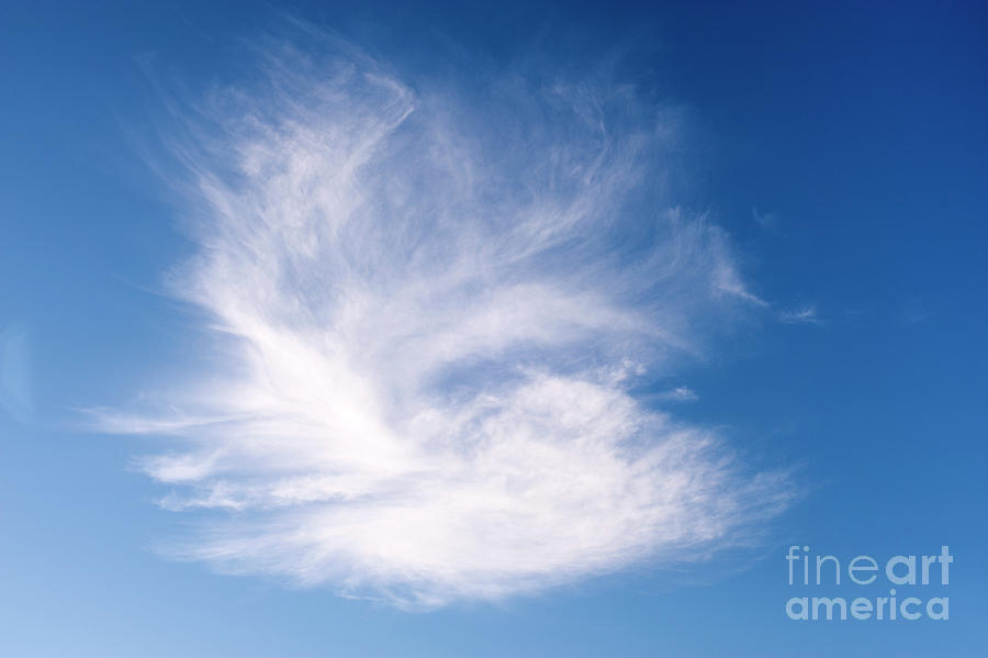 Cirrus Clouds In Blue Sky, Flying Bird Photograph