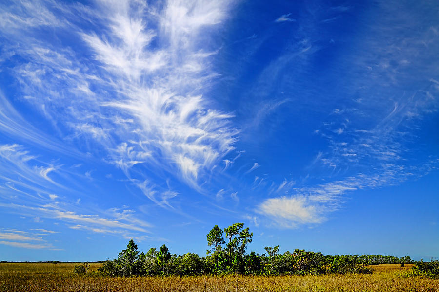 Nature Photograph - Cirrus Clouds  by Rudy Umans