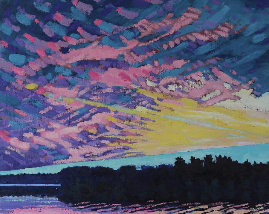 Spring Painting - Cirrus Sunset in the May Singleton Sanctuary by Phil Chadwick