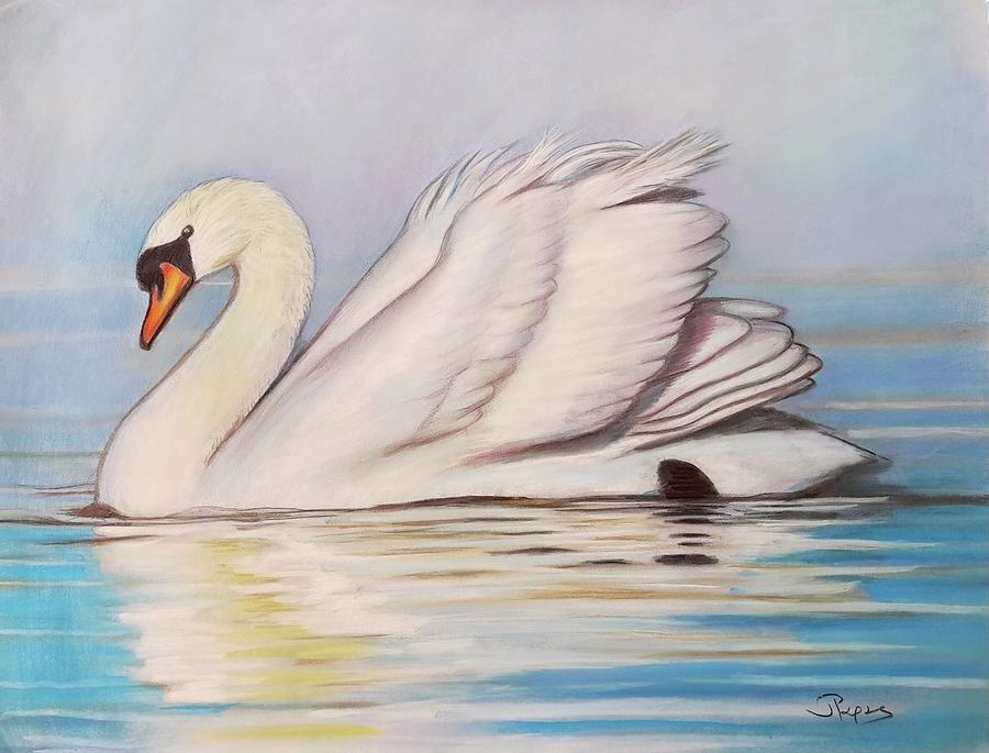 Cisne Pastel by Dimitris Papadakis - Fine Art America