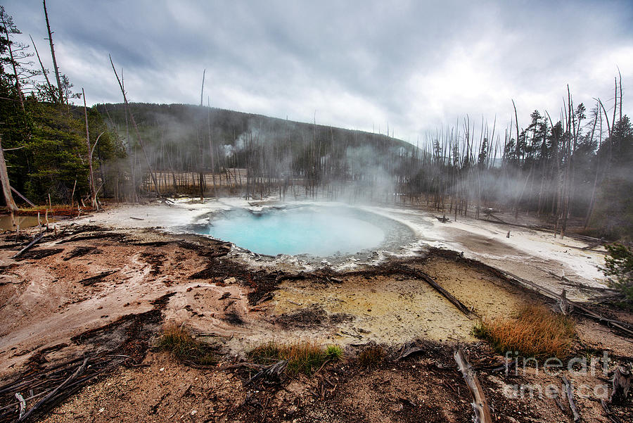 Cistern Springs in Yellowstone National Park Photograph by David Arment