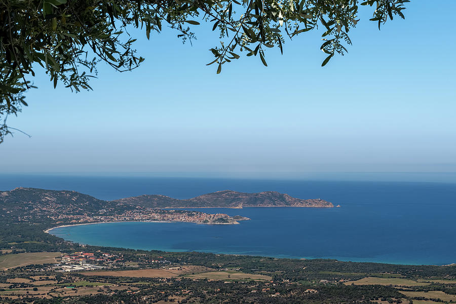 Citadel and bay of Calvi in Corsica Photograph by Jon Ingall