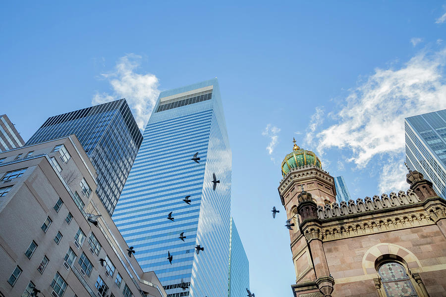 New York City Photograph - Citicorp Building and Pigeons by Cate Franklyn