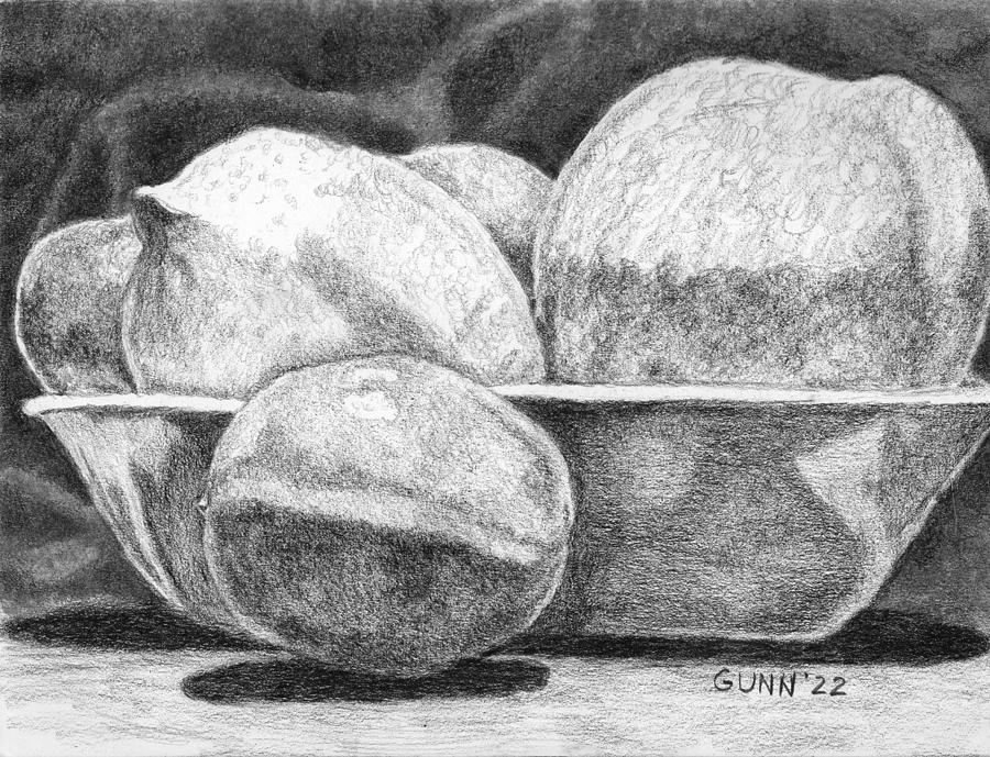 Citrus Bowl Drawing by Katrina Gunn