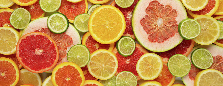 Grapefruit Photograph - Citrus Citrus Citrus by Steve Gadomski