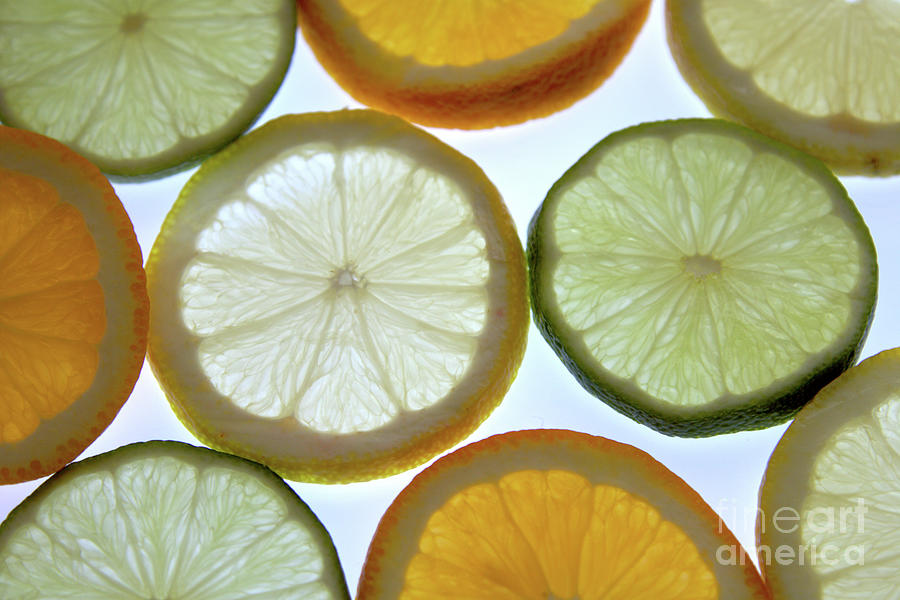 Citrus fruit mix Photograph by Baggieoldboy