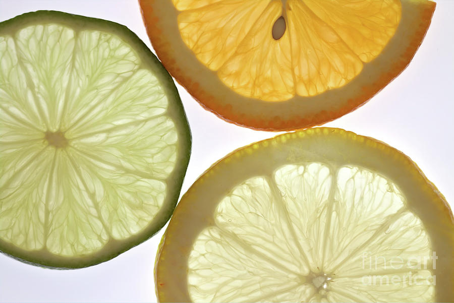 Citrus Fruits Photograph by Baggieoldboy Citrus Fruits Photograph by Baggieoldboy