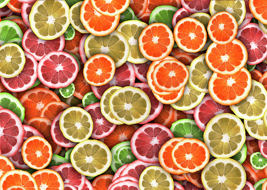 Citrus Slice Selection Photograph by Vanessa Thomas