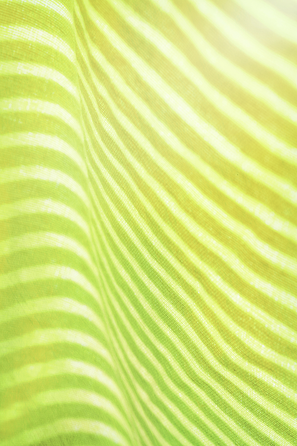 Abstract Photograph - Citrus Stripes by Christi Kraft
