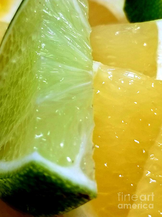 Citrus Style Photograph