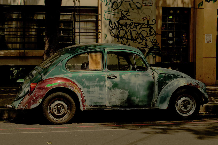 City Bug Photograph by Glendalina Ziemba - Fine Art America