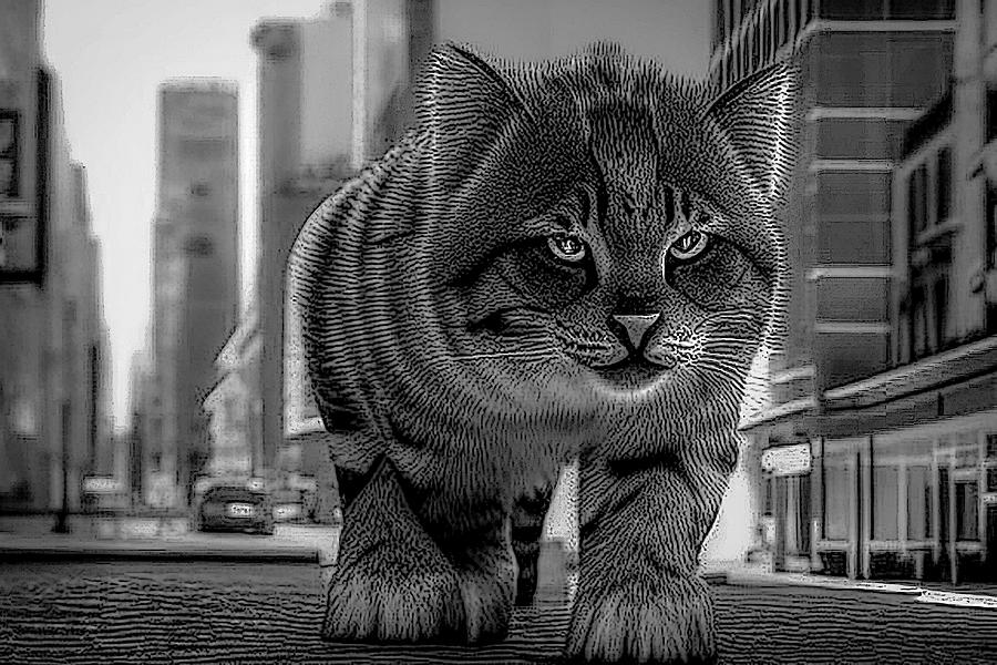 City Cat Digital Art by Debra Kewley