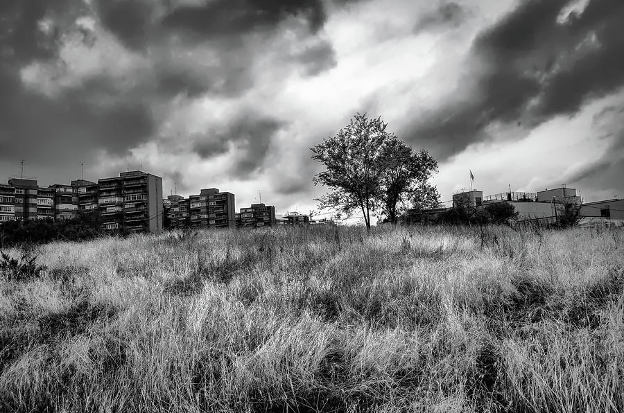 Black And White Photograph - City Field by Borja Robles