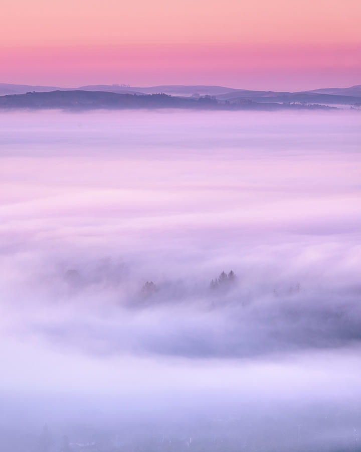 City of Fog Photograph by Shelby Erickson