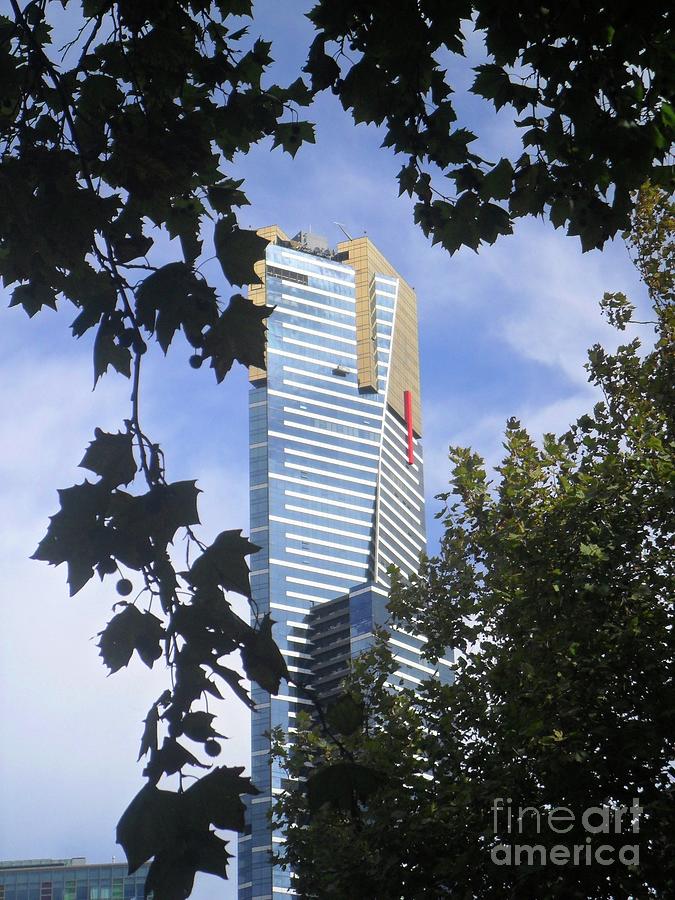 City Of Melbourne 2012 Photograph