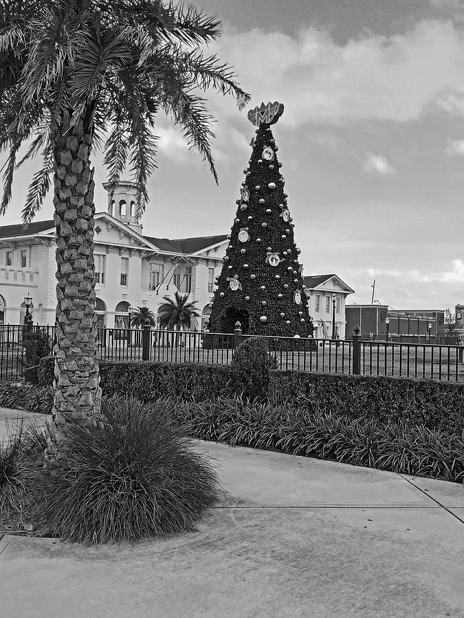 mobile mardi gras tree