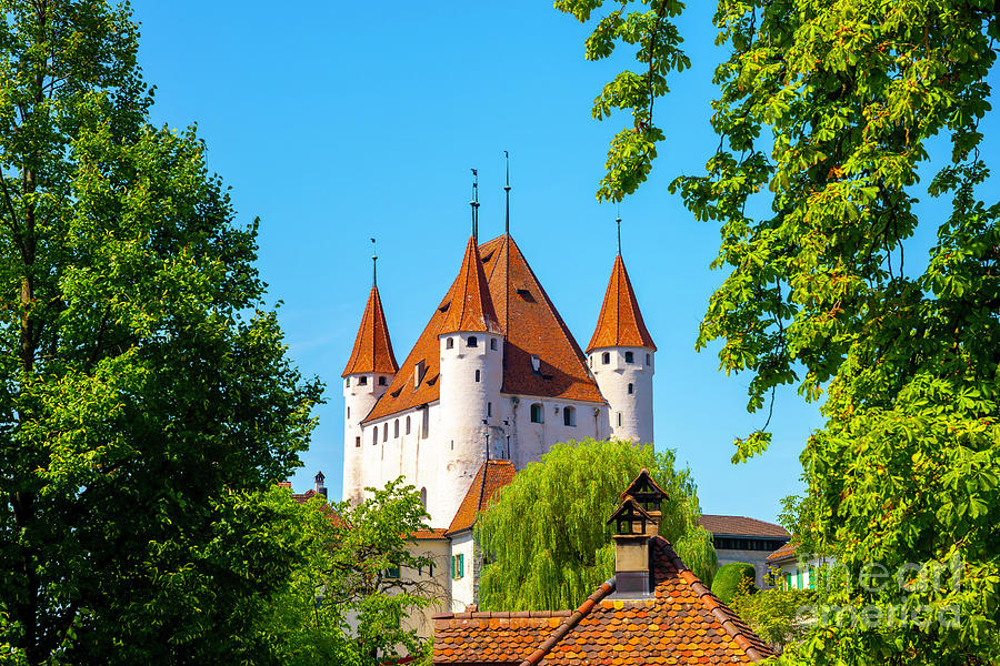 City of Thun with Castle and Trees in a Sunny Day Photograph by Mats Silvan