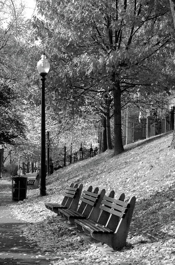 City Park Bench Boston MA Photograph by Becca Thornblad - Fine Art America