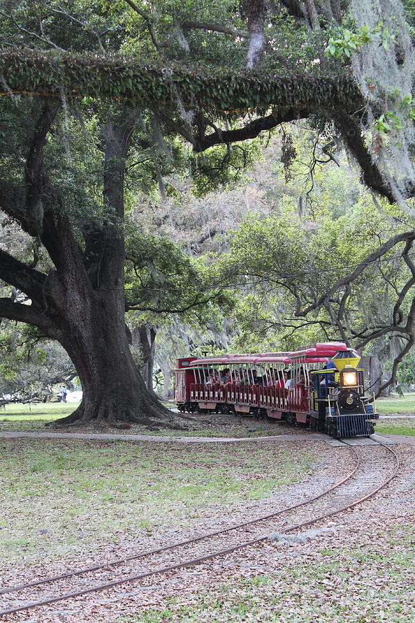 City Park Train Photograph by Yvette Peevy - Fine Art America