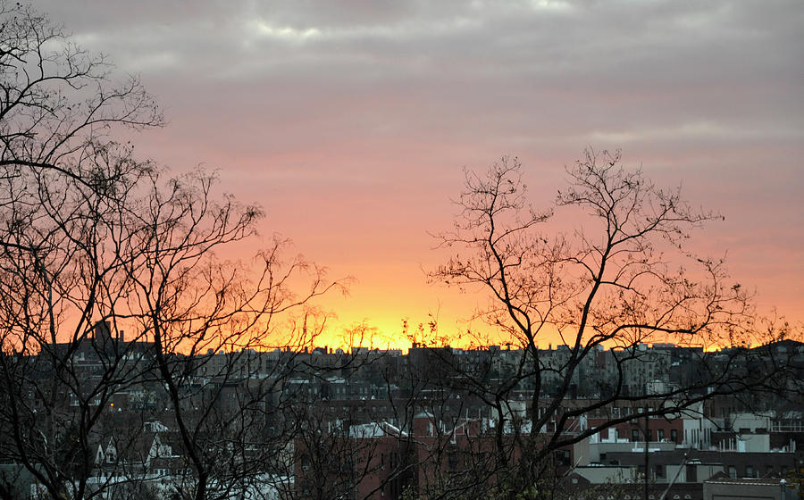 City Scape Sunrise Photograph by Sarah McKoy