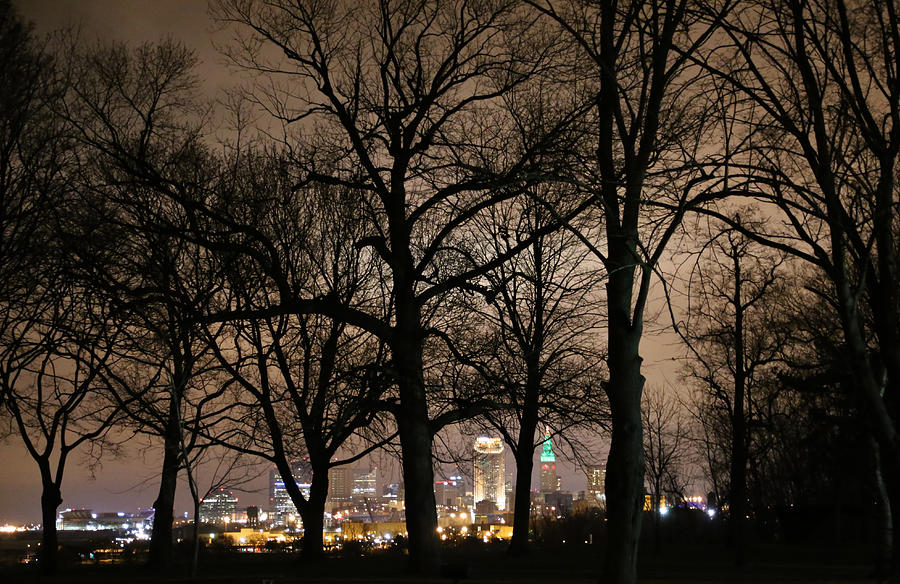 City Skyline through the silhouetted trees Photograph by Douglas Sacha