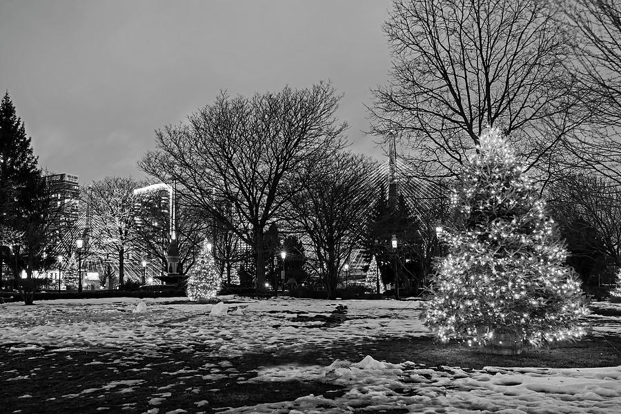 City Square Park at Christmas Charlestown Massachusetts Christmas Trees Zakim Bridge Boston BW Photograph by Toby McGuire