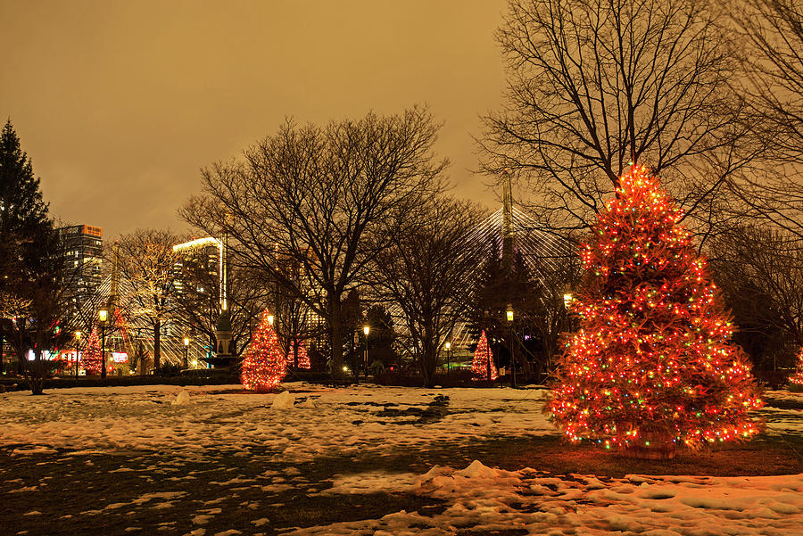 City Square Park at Christmas Charlestown Massachusetts Christmas Trees Zakim Bridge Boston Photograph by Toby McGuire