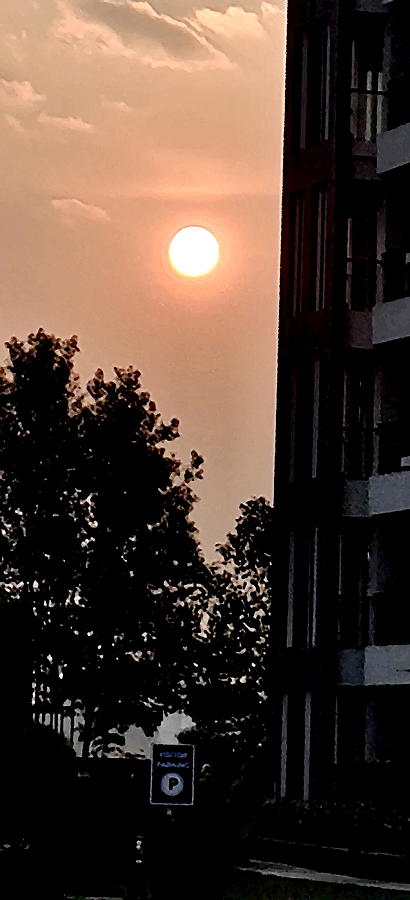 Rose Photograph - City Sunrise by Anand Swaroop Manchiraju