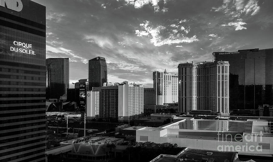 Cityscape of Las Vegas Photograph by Shelia Hunt